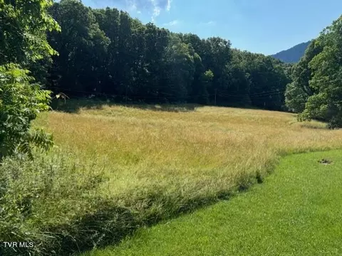 000 Ratcliffe Road Big Stone Gap Va 24219, Big Stone Gap, VA 24219