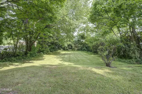 Exterior - 104 E Holston Avenue Johnson City Tn 37601, Johnson City, TN 37601 photo 9 of 13