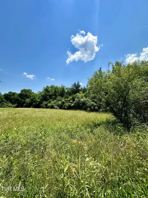 tbd Mill Creek Road Rye Cove Va 24251, Rye Cove, VA 24251