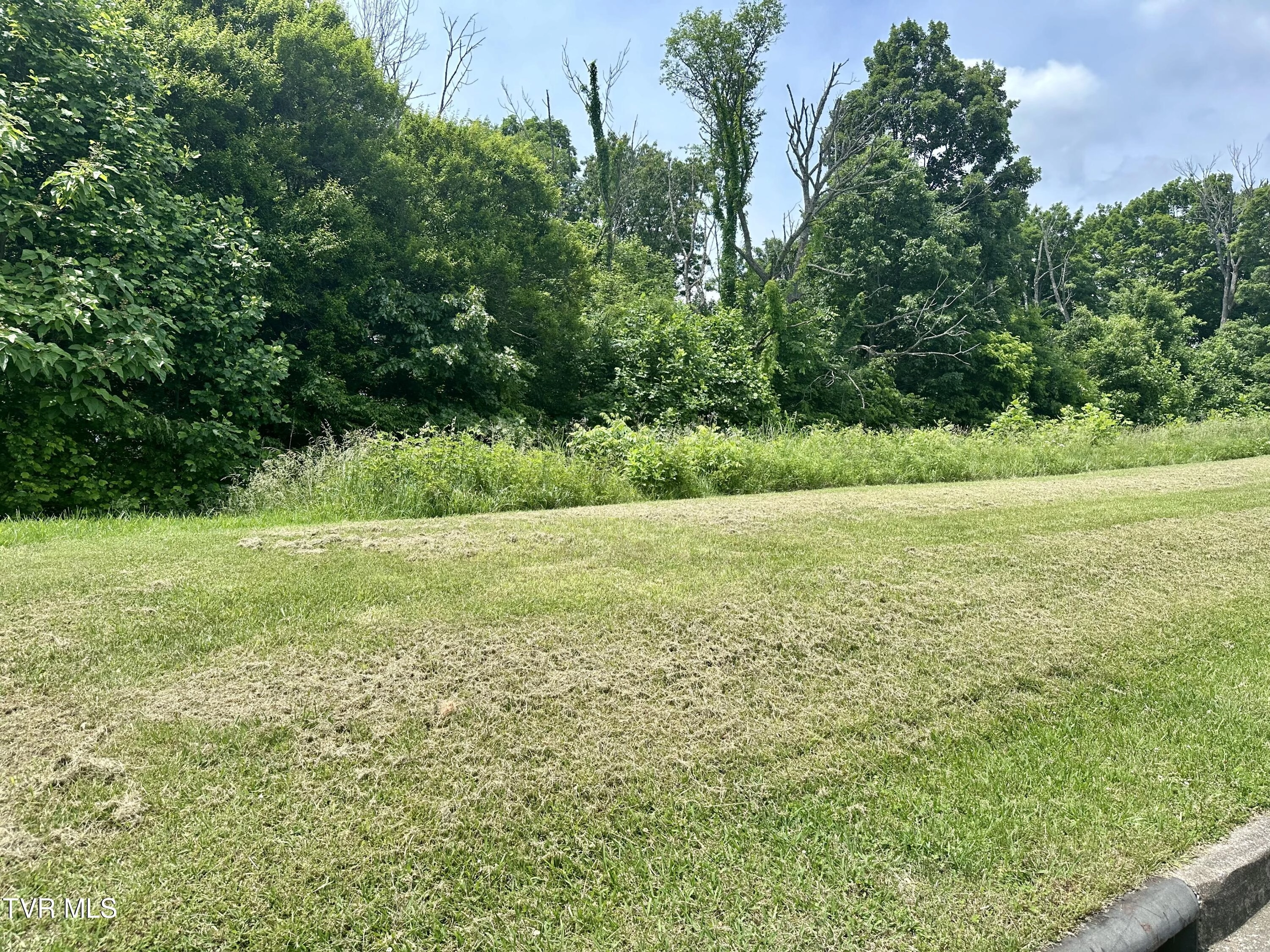 Lot 47 Chimney Top Ln  