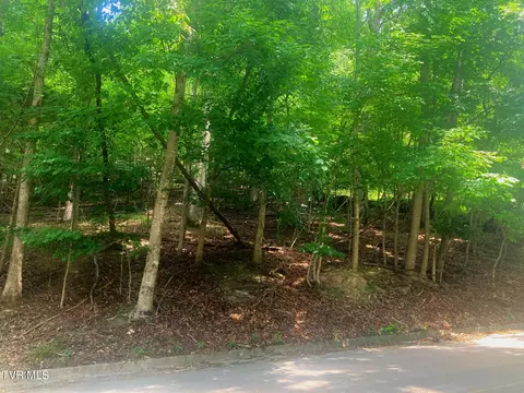 lot3 Lakeshore Road Bluff City Tn 37618, Bluff City, TN 37618