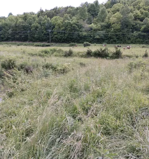 lot3 Lonesome Pine Trl Trail Greeneville Tn 37745, Greeneville, TN 37745