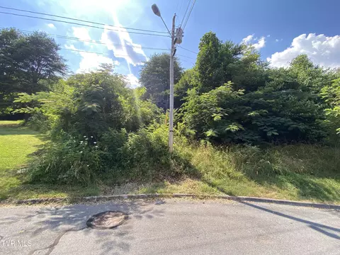 tbd Beechwood Court Kingsport Tn 37663, Kingsport, TN 37663