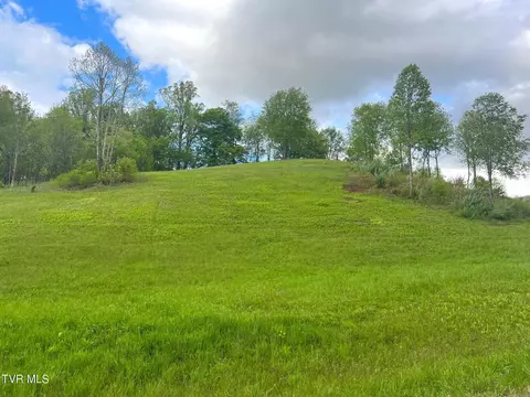 lot16 Silver Oak Private Trail Butler Tn 37640, Butler, TN 37640