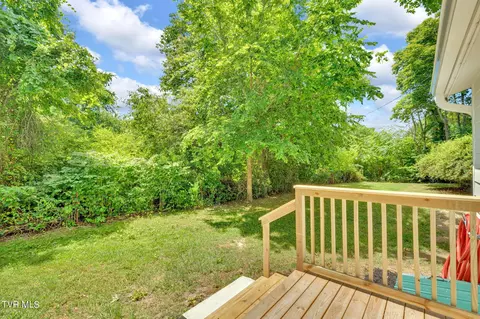 55 Rector Lane Limestone Tn 37681, Limestone, TN 37681 photo 7