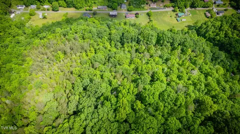 View/Area - 1441 Fairview Road Duffield Va 24244, Duffield, VA 24244 photo 3 of 6