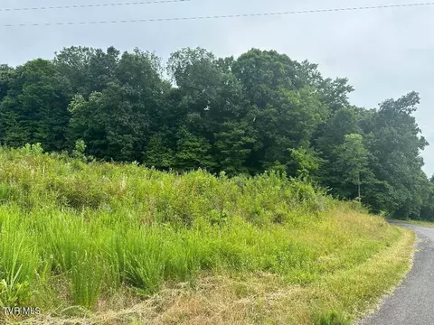 tbd Flora Road Rogersville Tn 37857, Rogersville, TN 37857