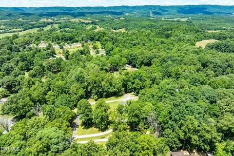 234 Forrest Road Fall Branch Tn 37656, Fall Branch, TN 37656 photo 10