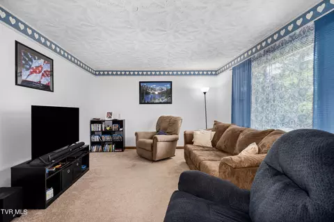 234 Forrest Road Fall Branch Tn 37656, Fall Branch, TN 37656 photo 42