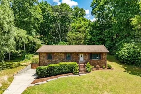 234 Forrest Road Fall Branch Tn 37656, Fall Branch, TN 37656