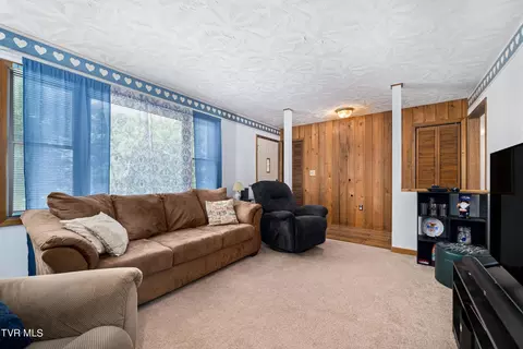 234 Forrest Road Fall Branch Tn 37656, Fall Branch, TN 37656 photo 44
