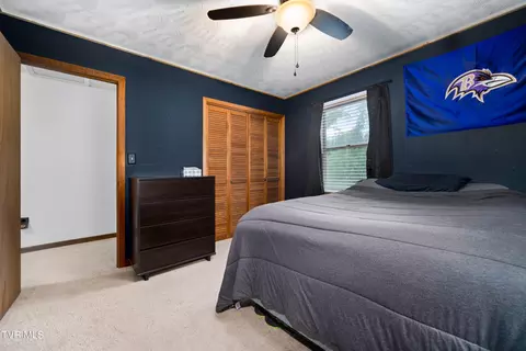 234 Forrest Road Fall Branch Tn 37656, Fall Branch, TN 37656 photo 61