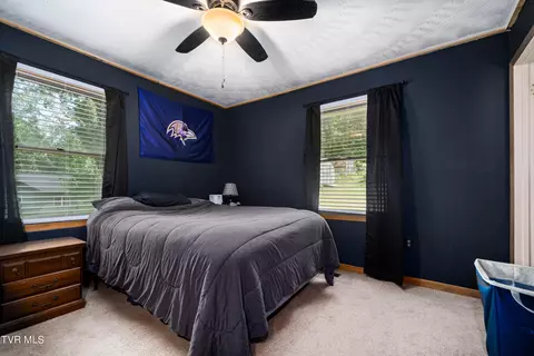 234 Forrest Road Fall Branch Tn 37656, Fall Branch, TN 37656 photo 60