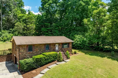234 Forrest Road Fall Branch Tn 37656, Fall Branch, TN 37656 photo 16