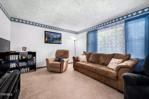 234 Forrest Road Fall Branch Tn 37656, Fall Branch, TN 37656 photo 43