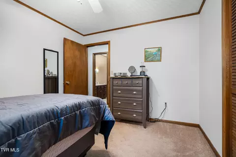 234 Forrest Road Fall Branch Tn 37656, Fall Branch, TN 37656 photo 56