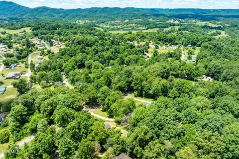 234 Forrest Road Fall Branch Tn 37656, Fall Branch, TN 37656 photo 11