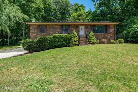 234 Forrest Road Fall Branch Tn 37656, Fall Branch, TN 37656 photo 24