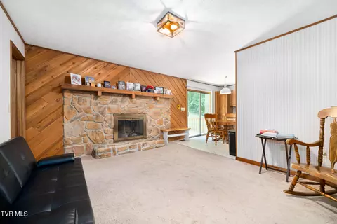 234 Forrest Road Fall Branch Tn 37656, Fall Branch, TN 37656 photo 46