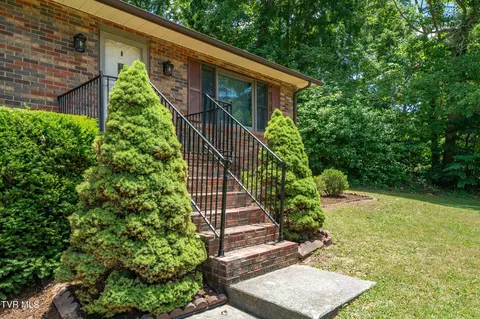 234 Forrest Road Fall Branch Tn 37656, Fall Branch, TN 37656 photo 26