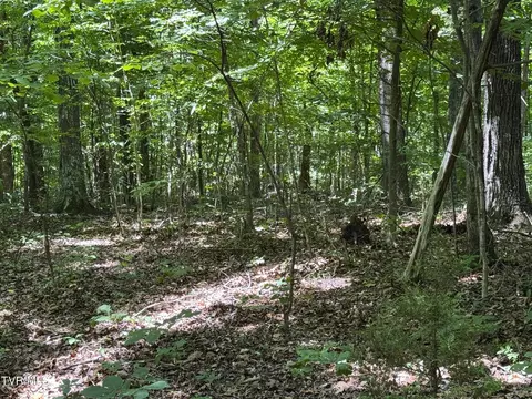 6 8 Friendship South Road Afton Tn 37616, Afton, TN 37616