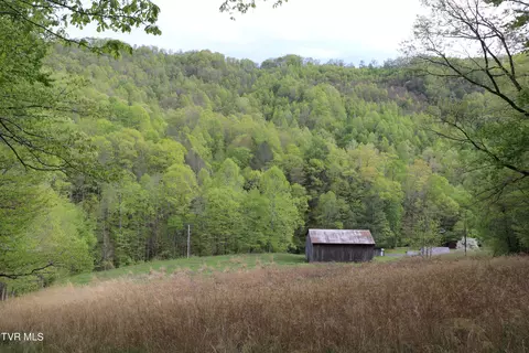 3688 Dry Creek Rd Road Blackwater Va 24221, Blackwater, VA 24221