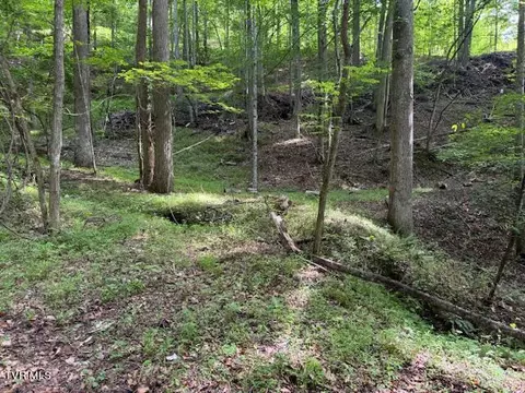 0 Cane Mountain Lane Burnsville Nc 28714, Burnsville, NC 28714