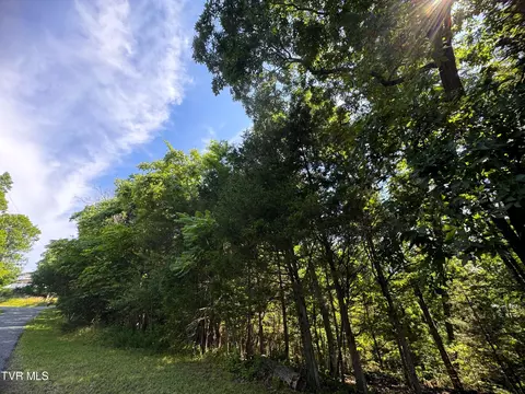 1 18 Acres Oak Hammock Circle Parrottsville Tn 37843, Parrottsville, TN 37843