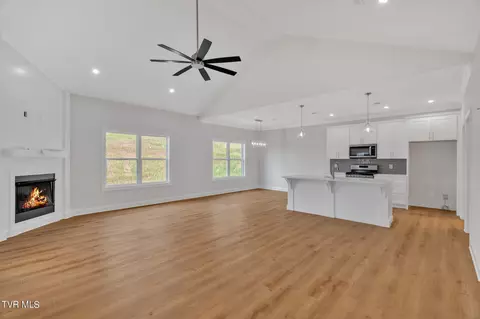 Living - 128 Quiet Stroll Lane Gray Tn 37615, Gray, TN 37615 photo 1 of 4
