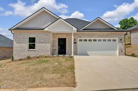 128 Quiet Stroll Lane Gray Tn 37615, Gray, TN 37615