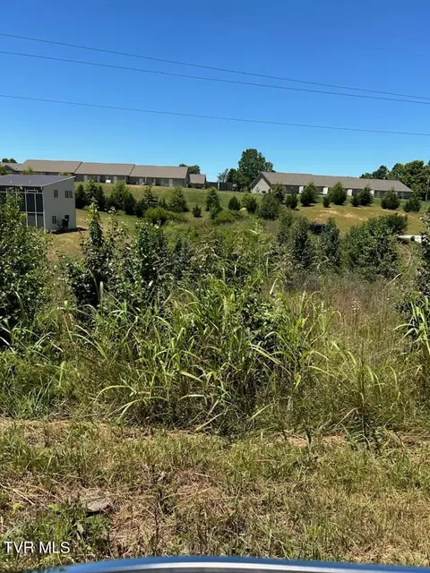 tbd Bob Fitz Road Gray Tn 37615, Gray, TN 37615