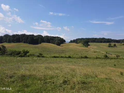 Other - 1444 Bailey Bridge Rd Limestone Tn 37681, Limestone, TN 37681 photo 6 of 7