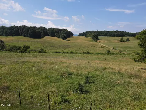 Exterior - 1444 Bailey Bridge Rd Limestone Tn 37681, Limestone, TN 37681 photo 4 of 5