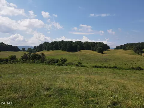 Exterior - 1444 Bailey Bridge Rd Limestone Tn 37681, Limestone, TN 37681 photo 3 of 5