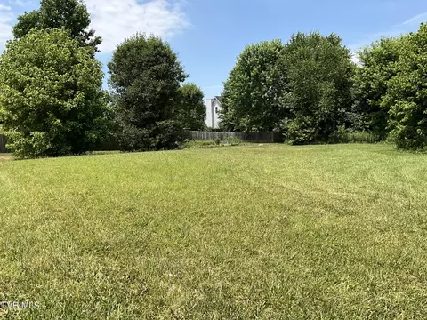 71 Creek View Court Gray Tn 37615, Gray, TN 37615
