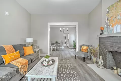 309 Delaware Street Johnson City Tn 37604, Johnson City, TN 37604 photo 5