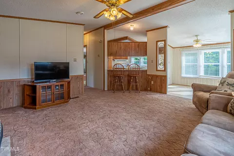 303 Offset Road Bristol Tn 37620, Bristol, TN 37620 photo 25