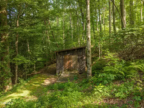 303 Offset Road Bristol Tn 37620, Bristol, TN 37620 photo 61