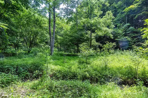 lot9 Lone Star Road Bristol Va 24202, Bristol, VA 24202