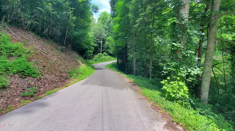 tbd Us Highway 19e Roan Mountain Tn 37687, Roan Mountain, TN 37687