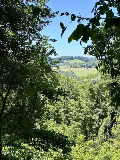 0 Big Moccasin Road Nickelsville Va 24271, Nickelsville, VA 24271