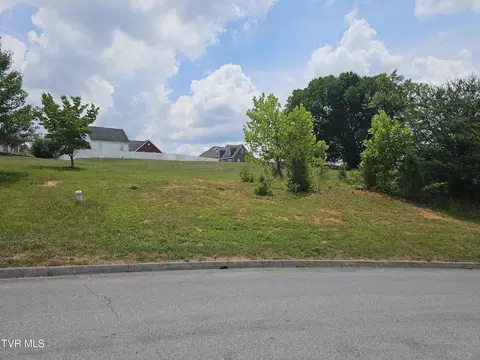 lot8 Warrior Falls Drive Kingsport Tn 37664, Kingsport, TN 37664