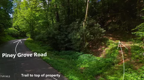 tbd Piney Grove Road Hampton Tn 37658, Hampton, TN 37658