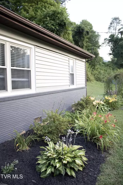 3026 Temple Hill Road Erwin Tn 37650, Erwin, TN 37650 photo 5