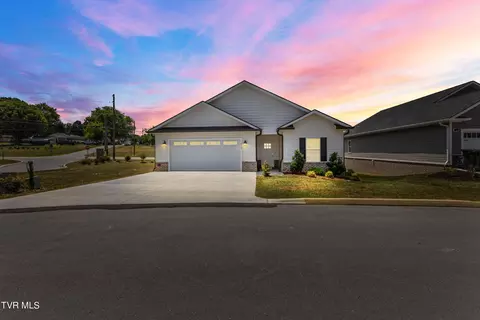 11 Palmetto Court Gray Tn 37615, Gray, TN 37615
