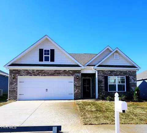 97 Thistle Drive Bluff City Tn 37618, Bluff City, TN 37618