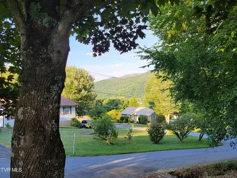 107 Mountain View Circle Hampton Tn 37658, Hampton, TN 37658 photo 3