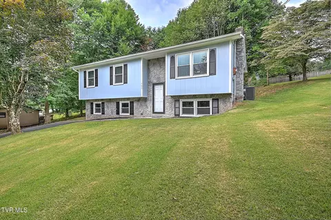 107 Mountain View Circle Hampton Tn 37658, Hampton, TN 37658