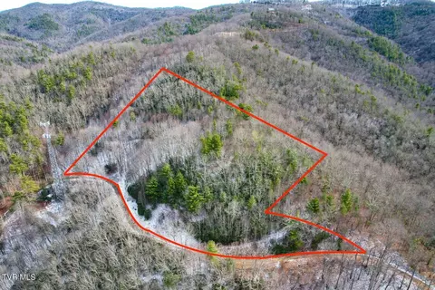 Pinecrest Street, Mountain City, TN 37683