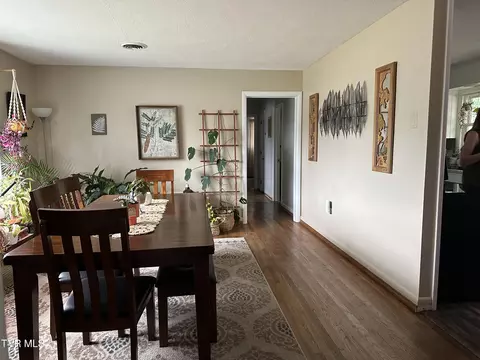 113 Walnut Road Bristol Tn 37620, Bristol, TN 37620 photo 24